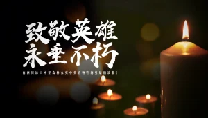 致敬英雄，永垂不朽