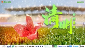 清明·春雨花开